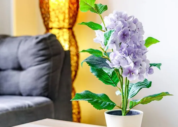 Сasa de vacaciones Casa Dos By Jungle House Near Convention Center Osu & Nationwide Arena Walk To High Street Downtown & Short North 5 800 Reviews Private Parking *